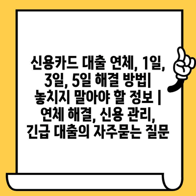 신용카드 대출 연체, 1일, 3일, 5일 해결 방법| 놓치지 말아야 할 정보 | 연체 해결, 신용 관리, 긴급 대출