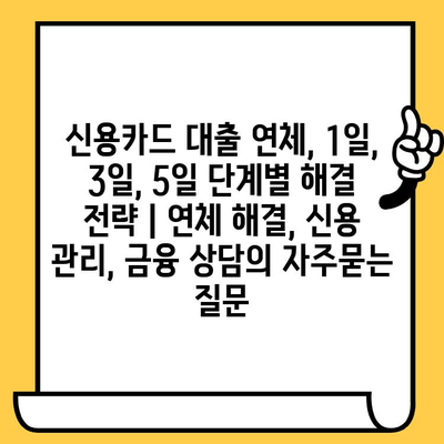 신용카드 대출 연체, 1일, 3일, 5일 단계별 해결 전략 | 연체 해결, 신용 관리, 금융 상담