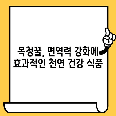 목청꿀 완벽 가이드| 효능, 가격, 부작용, 유통기한까지 한번에 확인하세요! | 목청꿀, 효능, 부작용, 가격, 유통기한