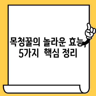 목청꿀 완벽 가이드| 효능, 가격, 부작용, 유통기한까지 한번에 확인하세요! | 목청꿀, 효능, 부작용, 가격, 유통기한