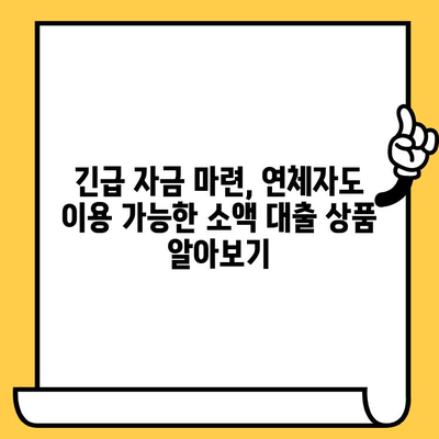 장기연체자도 가능한 소액 비상금 대출, 어디서? | 비상금 대출, 소액대출, 연체자 대출, 긴급 자금