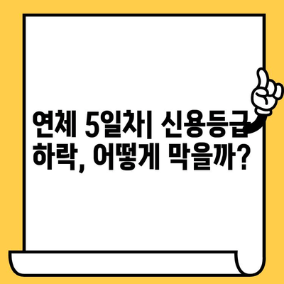 신용카드 대출 연체, 하루하루가 급해요! 1일, 3일, 5일 단계별 대처 가이드 | 연체 해결, 신용 관리, 금융 상담, 대출 상환