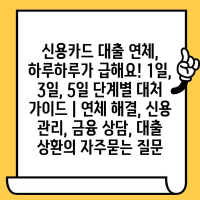 신용카드 대출 연체, 하루하루가 급해요! 1일, 3일, 5일 단계별 대처 가이드 | 연체 해결, 신용 관리, 금융 상담, 대출 상환