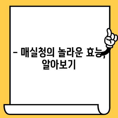 매실청의 모든 것| 효능, 영양성분, 부작용, 레시피까지 | 매실청 효능, 매실청 부작용, 매실청 레시피, 매실청 만들기