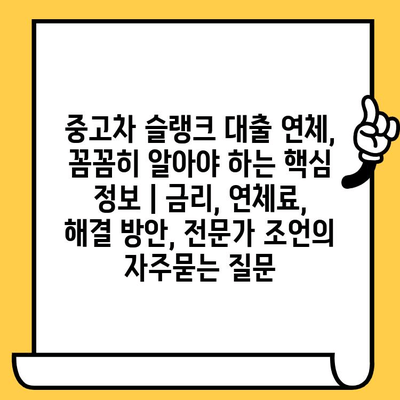 중고차 슬랭크 대출 연체, 꼼꼼히 알아야 하는 핵심 정보 | 금리, 연체료, 해결 방안, 전문가 조언