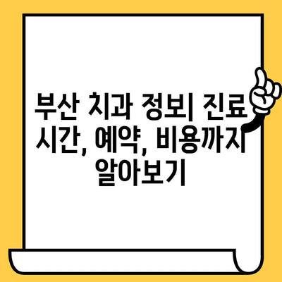 부산 치과의원 완벽 정리| 위치, 진료과목, 의료진 정보 | 부산 치과, 치과 추천, 치과 정보