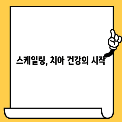 치아 건강 지키는 필수 관리법| 스케일링, 왜 중요할까요? | 구취, 충치, 잇몸 질환 예방