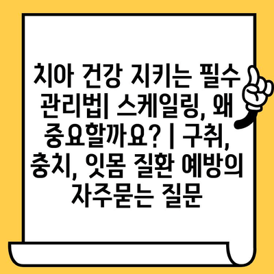 치아 건강 지키는 필수 관리법| 스케일링, 왜 중요할까요? | 구취, 충치, 잇몸 질환 예방