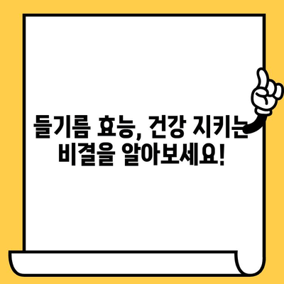 들기름 효능, 냉장 보관법, 유통기한까지! 알아야 할 모든 것 | 건강, 요리, 궁금증 해결