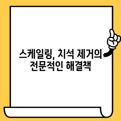 전문 치석 제거로 시작하는 건강한 미소| 당신의 구강 건강을 위한 맞춤 솔루션 | 치석 제거, 스케일링, 구강 관리, 치과 팁