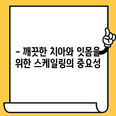 치과 스케일링| 건강한 치아와 잇몸을 위한 필수 가이드 | 스케일링 주기, 효과, 주의사항, 비용