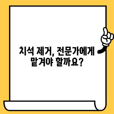 치석 제거, 안전하고 효과적으로! | 치석 관리, 치석 제거 방법, 치석 예방