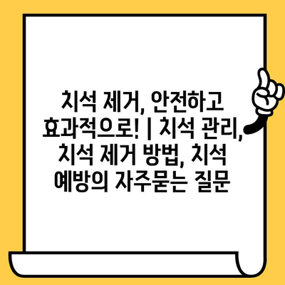 치석 제거, 안전하고 효과적으로! | 치석 관리, 치석 제거 방법, 치석 예방