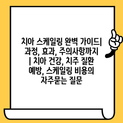 치아 스케일링 완벽 가이드| 과정, 효과, 주의사항까지 | 치아 건강, 치주 질환 예방, 스케일링 비용