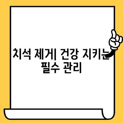 치석 제거| 전반적인 건강에 미치는 영향과 관리법 | 치주 질환, 구강 건강, 치아 관리, 건강 팁