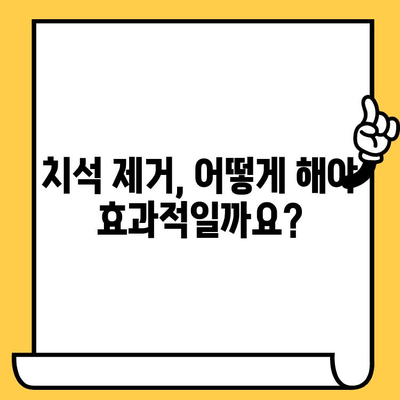 치석 제거| 전반적인 건강에 미치는 영향과 관리법 | 치주 질환, 구강 건강, 치아 관리, 건강 팁