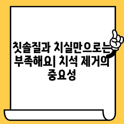 치석 제거| 전반적인 건강에 미치는 영향과 관리법 | 치주 질환, 구강 건강, 치아 관리, 건강 팁