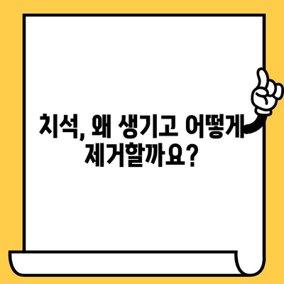 치석 제거| 빛나는 미소를 위한 구강 건강 지침 | 치석 제거 방법, 치석 예방, 구강 관리 팁