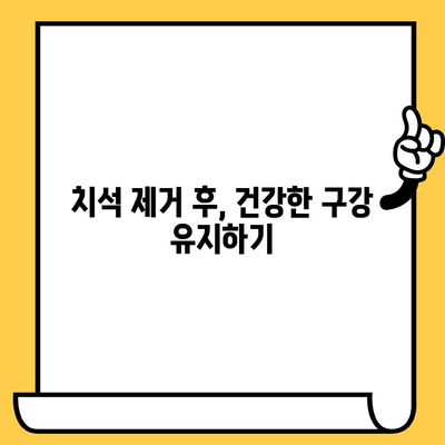 치석 제거| 빛나는 미소를 위한 구강 건강 지침 | 치석 제거 방법, 치석 예방, 구강 관리 팁