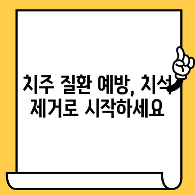 치석 제거, 놓치면 후회할 놀라운 효과 5가지 | 치아 건강, 구강 관리, 치주 질환 예방