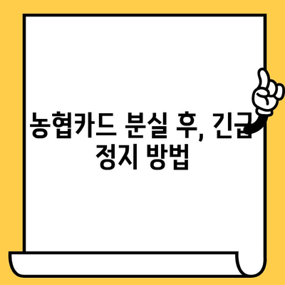 농협카드 분실했을 때? 신고부터 재발급, 해지까지 완벽 가이드 | 농협카드 분실, 재발급, 해지, 긴급 정지, 카드 분실 신고