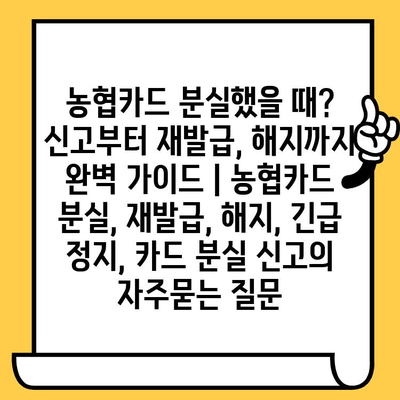 농협카드 분실했을 때? 신고부터 재발급, 해지까지 완벽 가이드 | 농협카드 분실, 재발급, 해지, 긴급 정지, 카드 분실 신고