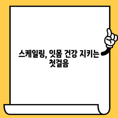 성남치과의원의 건강한 스케일링 관리| 잇몸 건강 지키는 올바른 방법 | 스케일링, 치주질환 예방, 잇몸 관리 팁