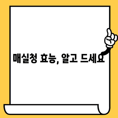 매실청 효능, 영양성분, 부작용 & 유통기한까지 완벽 가이드 | 매실청 활용법, 건강 정보