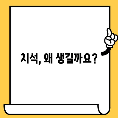 치석 제거| 건강한 미소를 위한 필수 가이드 | 치석 원인, 제거 방법, 예방 팁