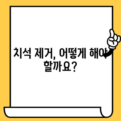 치석 제거| 건강한 미소를 위한 필수 가이드 | 치석 원인, 제거 방법, 예방 팁