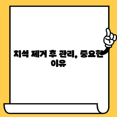 치석 제거| 건강한 미소를 위한 필수 가이드 | 치석 원인, 제거 방법, 예방 팁