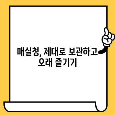 매실청 효능, 영양성분, 부작용 & 유통기한까지 완벽 가이드 | 매실청 활용법, 건강 정보