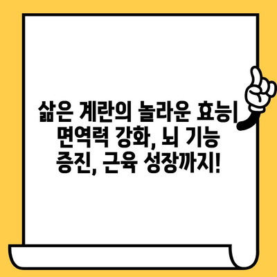 삶은 계란의 놀라운 효능, 칼로리, 유통기한까지 완벽 분석 | 건강 식단, 영양 정보, 계란 요리