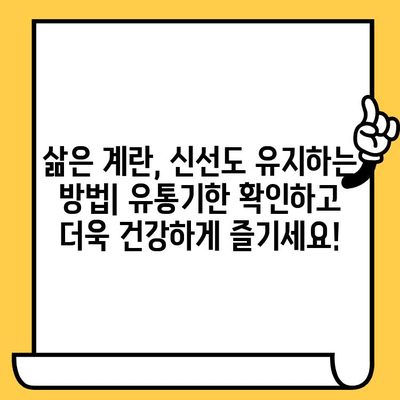 삶은 계란의 놀라운 효능, 칼로리, 유통기한까지 완벽 분석 | 건강 식단, 영양 정보, 계란 요리