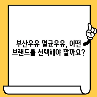 부산우유 멸균우유 완벽 가이드| 추천 브랜드, 보관법, 유통기한까지 | 멸균우유, 부산, 우유, 보관, 유통기한