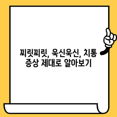 치통, 더 이상 참지 마세요! 원인부터 치료까지 완벽 가이드 | 치통 원인, 치통 증상, 치통 해결