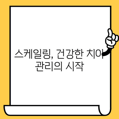 성남 치과의원에서 정기 스케일링으로 건강한 치아 유지하기| 잇몸 건강 지키는 핵심 가이드 | 스케일링, 치아 관리, 잇몸 질환 예방