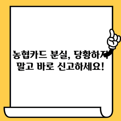 농협카드 분실했을 때 뭐부터 해야 할까요? | 분실 신고, 재발급, 해지 방법 완벽 가이드