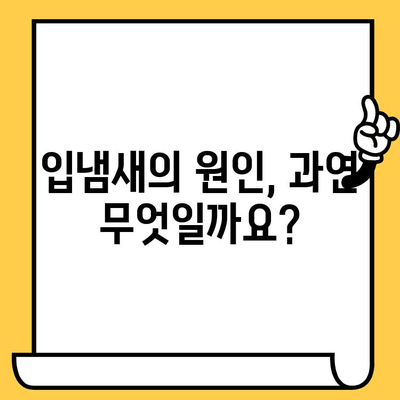 치과 악취, 이제 그만! 원인 분석부터 해결 솔루션까지 | 입냄새, 구취, 치과 관리