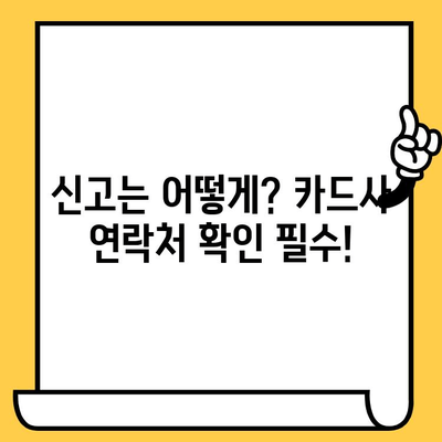 신용카드 분실했을 때, 당황하지 말고! 해지 및 분실 신고 절차 완벽 가이드 | 신용카드, 분실, 해지, 신고, 카드사 연락처