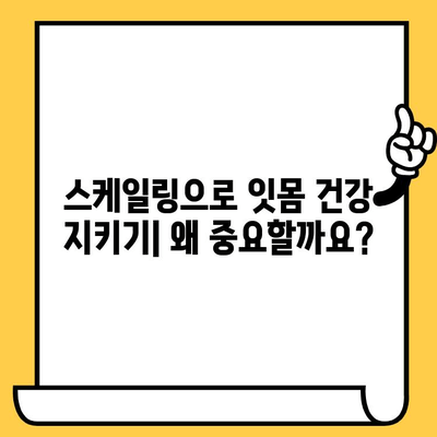 건강한 잇몸을 지키는 정기 스케일링| 잇몸 건강 관리 지침 | 치주 질환 예방, 스케일링 주기, 잇몸 관리 팁