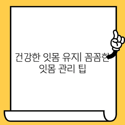 건강한 잇몸을 지키는 정기 스케일링| 잇몸 건강 관리 지침 | 치주 질환 예방, 스케일링 주기, 잇몸 관리 팁