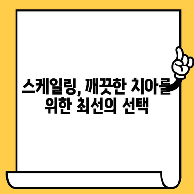 성남 치과의원| 정기 스케일링으로 건강한 치아를 지키는 방법 | 스케일링, 치아 건강, 치주 질환 예방, 성남 치과 추천