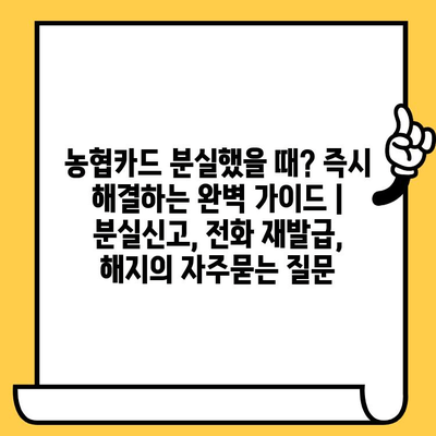 농협카드 분실했을 때? 즉시 해결하는 완벽 가이드 | 분실신고, 전화 재발급, 해지