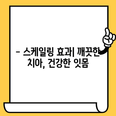 성남 치과 스케일링| 건강한 치아를 위한 필수 관리 | 스케일링 효과, 주기, 비용, 성남 추천 치과