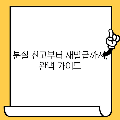 신용카드 분실! 당황하지 말고, 사기 피해 막고 재발급까지 완벽하게 | 분실, 신고, 재발급, 사기 예방