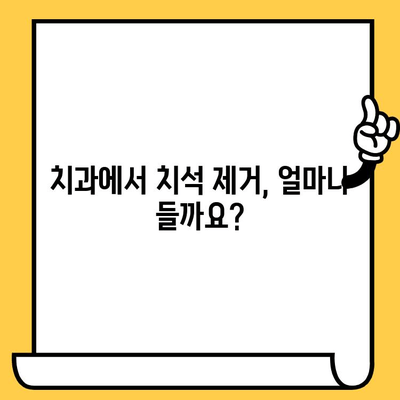 치석 제거| 건강한 미소로의 첫 걸음 | 치석 제거 방법, 치석 예방, 치과 치석 제거 비용