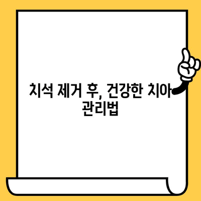 치석 제거| 건강한 미소로의 첫 걸음 | 치석 제거 방법, 치석 예방, 치과 치석 제거 비용