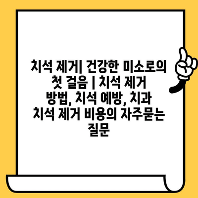 치석 제거| 건강한 미소로의 첫 걸음 | 치석 제거 방법, 치석 예방, 치과 치석 제거 비용