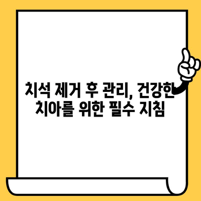 치석 제거, 이제 다양한 기술로 깨끗하게! | 치석 제거 방법, 치석 제거 기술, 치과 치석 제거